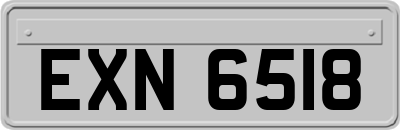 EXN6518