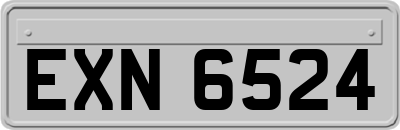 EXN6524