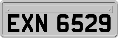 EXN6529