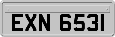 EXN6531