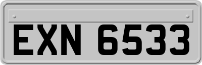 EXN6533