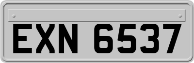 EXN6537
