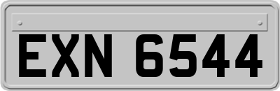EXN6544