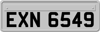 EXN6549
