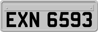 EXN6593