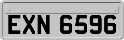EXN6596