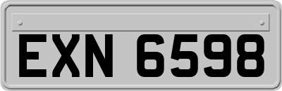 EXN6598