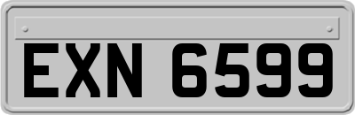 EXN6599