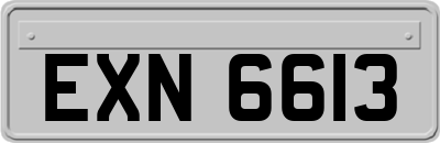 EXN6613