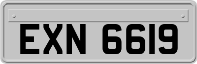 EXN6619