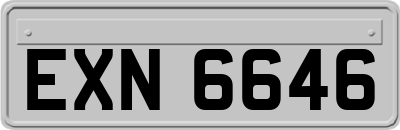 EXN6646