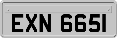 EXN6651