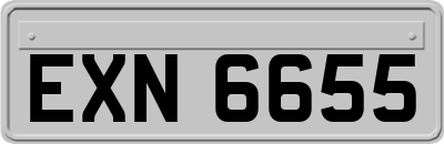 EXN6655