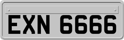 EXN6666