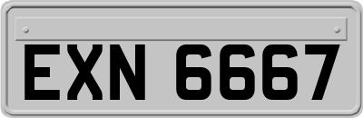 EXN6667