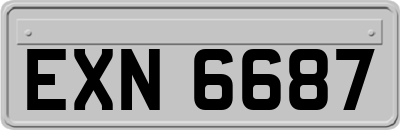 EXN6687