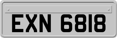 EXN6818