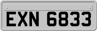 EXN6833