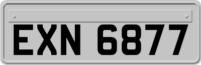 EXN6877