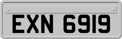 EXN6919