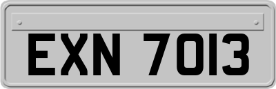 EXN7013