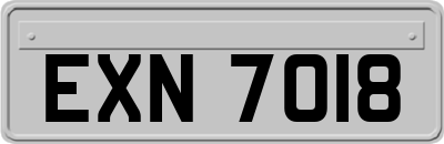 EXN7018
