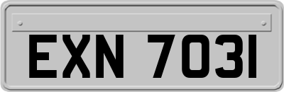 EXN7031