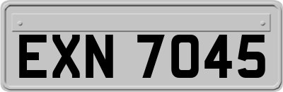 EXN7045