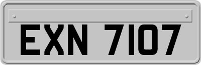 EXN7107