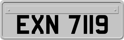 EXN7119