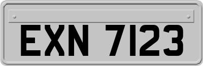 EXN7123
