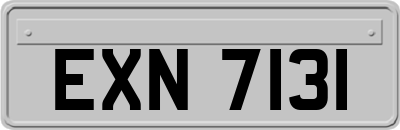 EXN7131