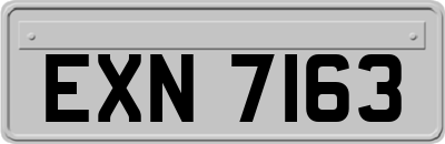 EXN7163