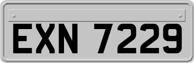 EXN7229