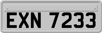 EXN7233