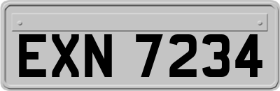 EXN7234
