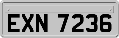EXN7236