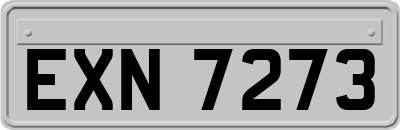 EXN7273
