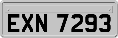 EXN7293