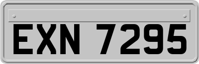 EXN7295