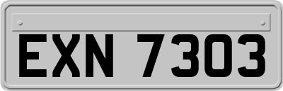 EXN7303