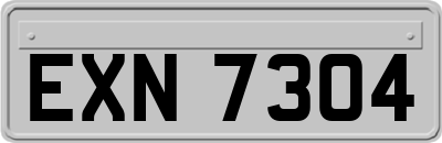 EXN7304