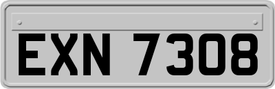 EXN7308