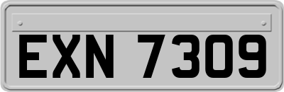EXN7309