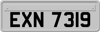 EXN7319