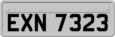 EXN7323