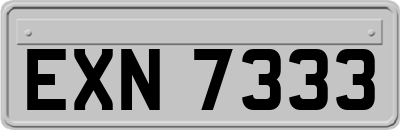 EXN7333