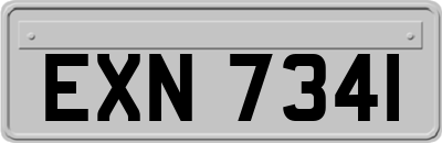 EXN7341
