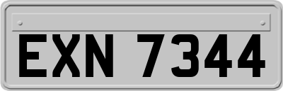 EXN7344