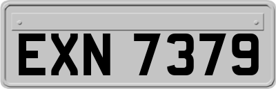 EXN7379